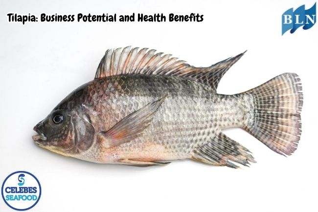 Tilapia: Business Potential and Health Benefits